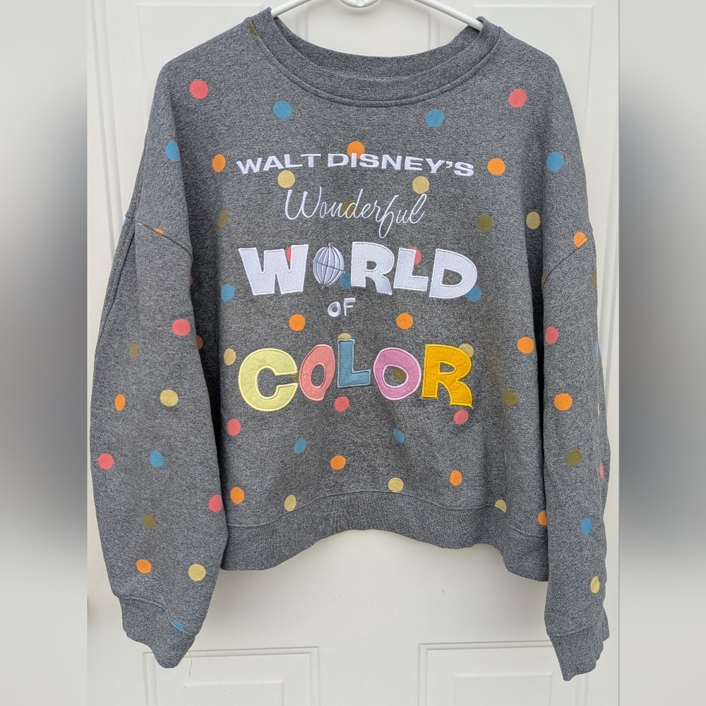 Disney Gray Wonderful World of Color 100 Sweatshirt Women's 3x Plus